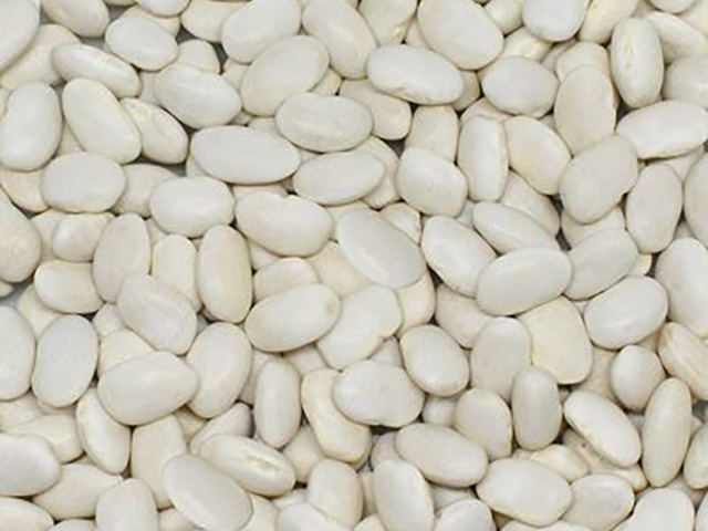Dermason White Beans (9mm)