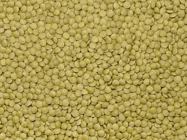 Green Lentils Eston  (4,5-5mm) 