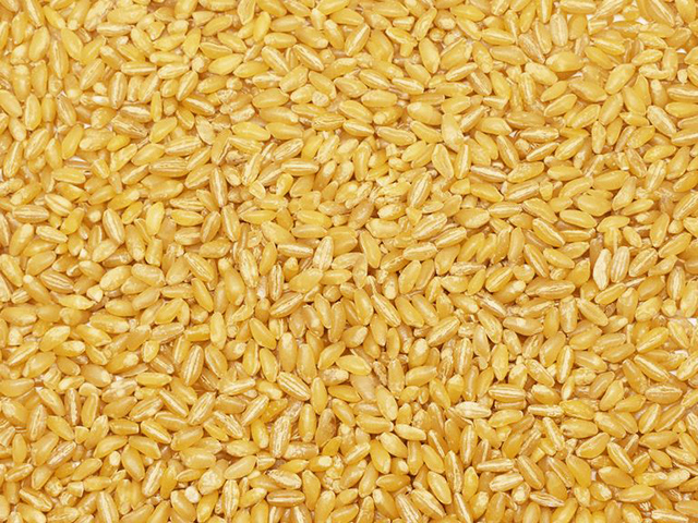 Skinless Wheat "Haresh"