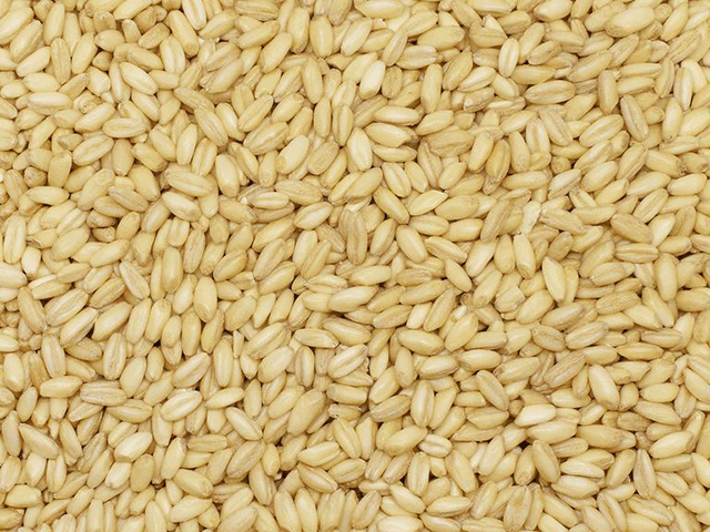 Pounded Wheat