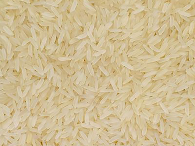 أرز بسمتي سوغاندا