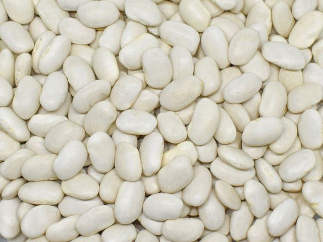 Dermason White Beans (8mm)