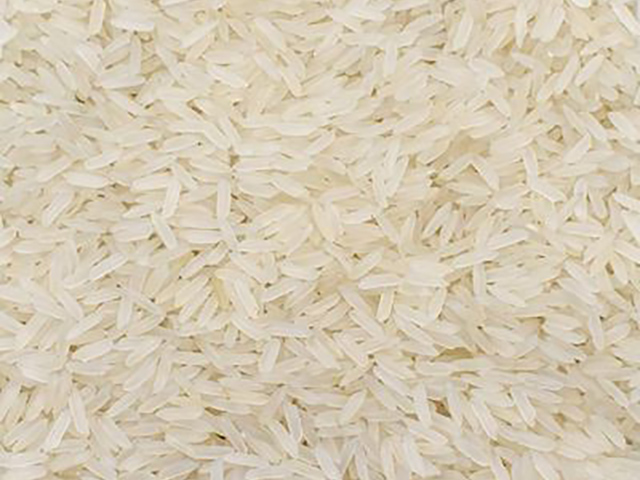 Pr11 Pirinç