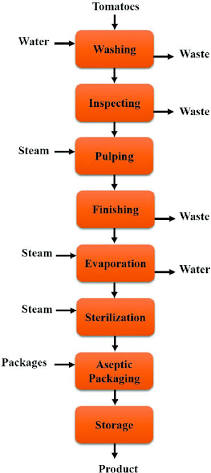Sarbio uses the latest technology to preserve the nutritional value of tomatoes and ensure microbiological safety. Industrial tomato paste production consists of the following stages that must be managed meticulously:
