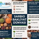 Sarbio Bakliyat çeşitleri, besin değerleri ve sağlıklı beslenme rehberi infografiği